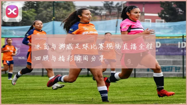 冰岛与挪威足球比赛现场直播全程回顾与精彩瞬间分享