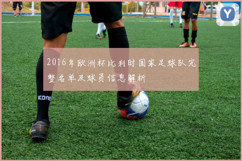 2016年欧洲杯比利时国家足球队完整名单及球员信息解析