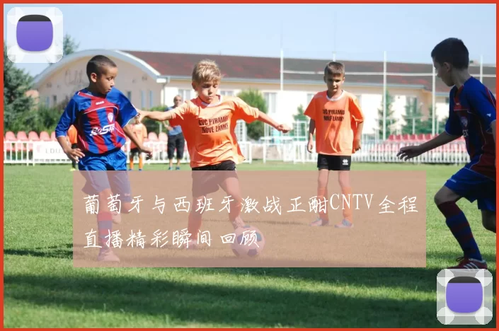 葡萄牙与西班牙激战正酣CNTV全程直播精彩瞬间回顾