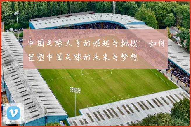 中国足球大亨的崛起与挑战：如何重塑中国足球的未来与梦想